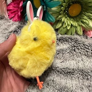 Baby chick pocketbac holder, it is adorable!  The chick has bunny ears!